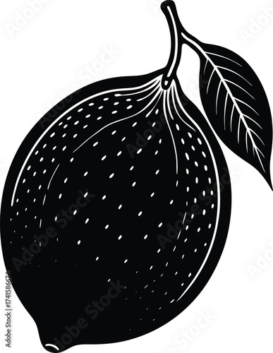 Abstract fractal pattern emerges from darkness symbolizing complexity and infinity isolated on transparent background