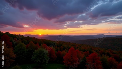 Vibrant autumn forest bathed in the warm glow of a breathtaking sunset.