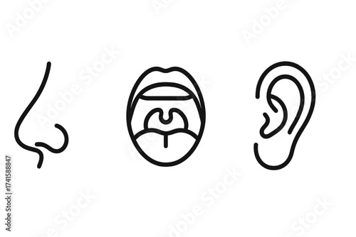 Otolaryngology icon set with nose, throat, ear medical vector illustrations for ENT healthcare, specialist concept, ear nose throat anatomy symbols transparent background