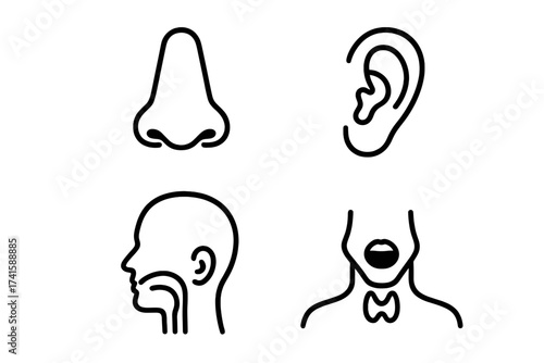 Otolaryngology vector set with nose ear throat icons, ENT medical specialist healthcare concept, ORL anatomy illustration, ear nose throat anatomy symbols, transparent background