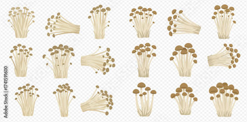 Various bundles of fresh enoki mushrooms with long white stems and small brown caps, arranged in different orientations on a transparent background.