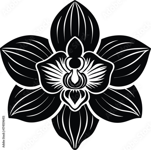 Abstract swirl nebula galactic cloud cosmic starfield design isolated on transparent background