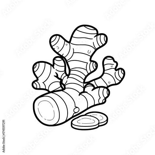Ginger Root Botanical Illustration: An elegant black and white line drawing of a fresh ginger root, illustrating the intricate details of this culinary herb.