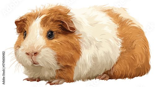 Delightful Guinea Pig Isolated on White Background for Pets and Animal Lovers