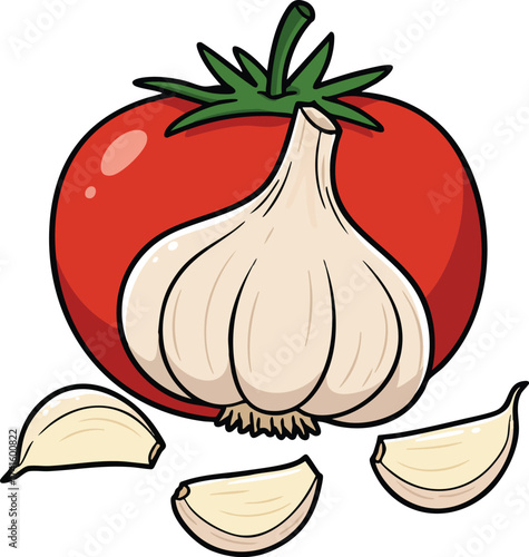 Garlic bulb and cloves with ripe red tomato vector illustration for cooking and healthy food design 
