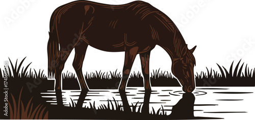Horse drinking water from pond with grass and plants natural animal wildlife vector illustration 
