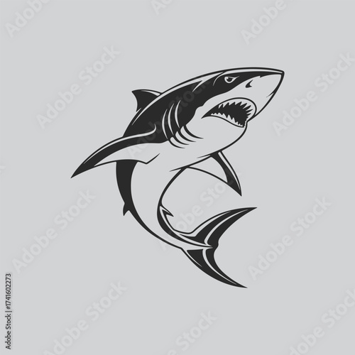 Aggressive Shark Drawing for Logo Design
