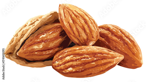 Nutrition-Rich Almonds Whole Nuts Vector Illustration
