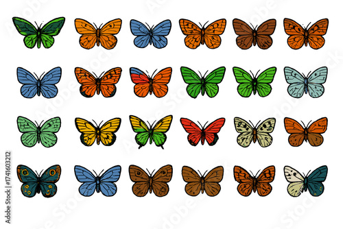 Colorful variety of butterflies displayed in a grid pattern showcasing diverse species and vibrant colors in a decorative design