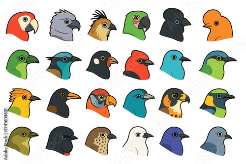 Colorful bird illustrations showcasing diverse species from rainforests and different habitats around the world in a playful design