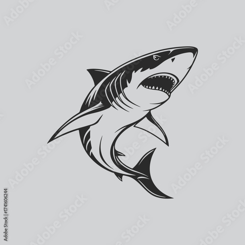 Ocean Beast Shark Illustration Concept