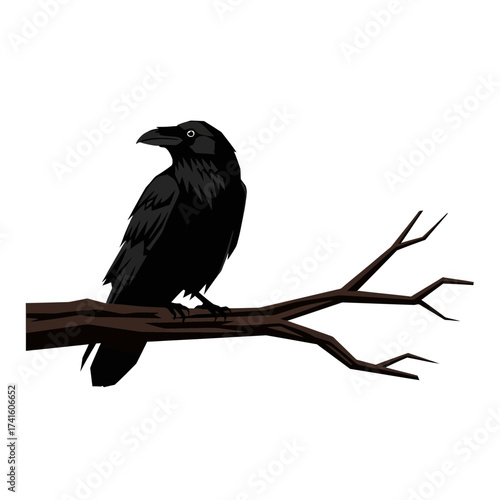 A solitary black raven perched on a bare tree branch.