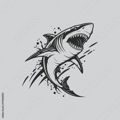 Shark Splash Art for Graphic Designers