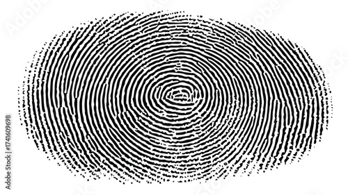 Detailed Fingerprint Pattern for Security System Background Design