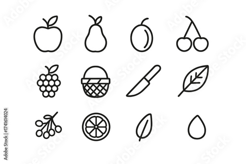 Wild Fruit Icon Grid. Outline icon set of wild fruit harvest: apple, pear, plum, cherry, grape, basket, knife,