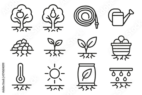Drought-Resilient Orchard Icons. Outline icon set of adapting orchards to drought: apple tree, pear tree,