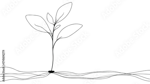 Sprouts Emergence: A Metaphor of Birth and New Beginnings