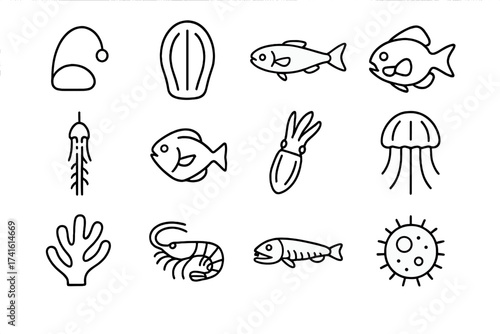 Bioluminescent Sea Life Icons. Outline icon set of bioluminescent sea life: anglerfish lure, comb jelly,
