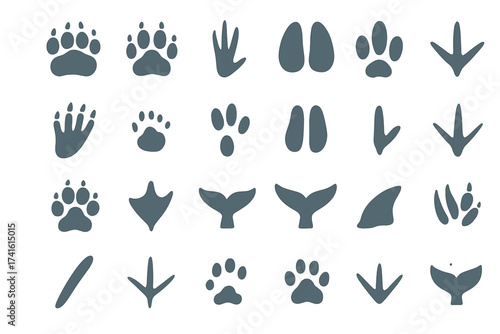 Collection of animal tracks showing variety of species footprints and shapes on a white background