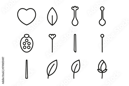 Flower Anatomy Icons. Outline icon set of flower anatomy: petal, sepal, stamen, pistil, ovary, stigma, style,