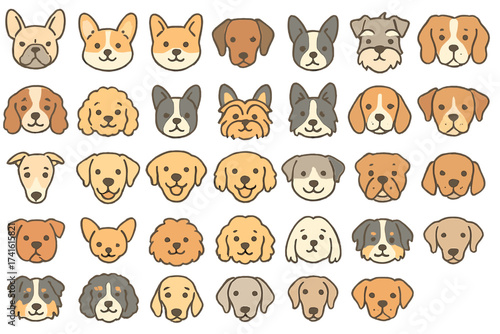 Cute cartoon dog faces in various breeds on a light background showing diverse expressions and features
