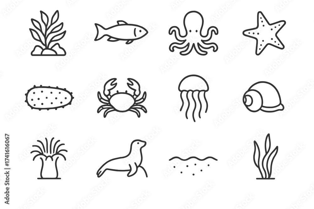 Obraz premium Marine Life Icons. Outline icon set of marine life in kelp forests: seaweed canopy, fish, octopus, sea star,