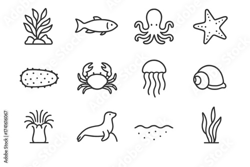 Marine Life Icons. Outline icon set of marine life in kelp forests: seaweed canopy, fish, octopus, sea star,