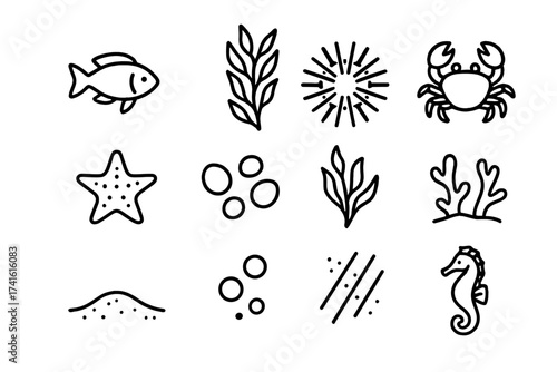 Kelp Forest Icons. Outline icon set of kelp forest marine species: fish, kelp stalks, sea urchin, crab,
