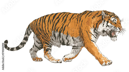 Wild Roaring Tiger Full Body Vector Illustration for Graphic Design Projects