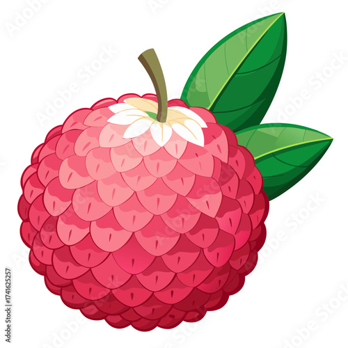 Illustration of a vibrant lychee, , showcasing its pinkishred bumpy skin and green leaves in a simple design