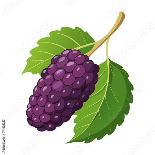 Vector art of a juicy mulberry, with its dark purple hue and fresh green leaves, a sweet and nutritious summer treat