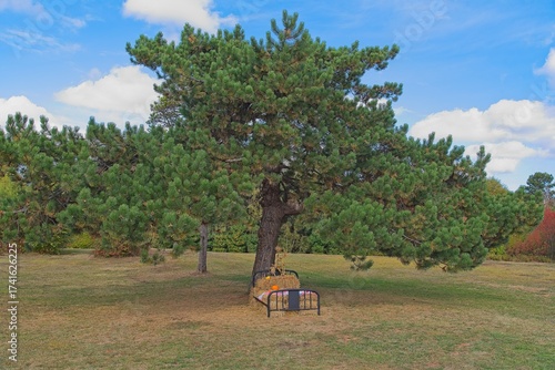 Straw Bed Outside In The Field