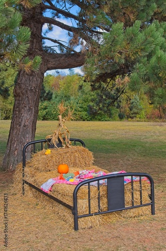 Straw Bed Outside In The Field