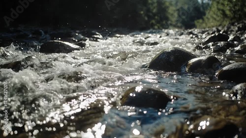 Sunlit river flowing over smooth wet rocks surrounded by lush green forest trees