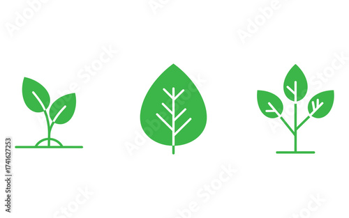 Green Leaf Icons Set leaves plant nature vector illustration growth botany eco ecology environment organic symbol design graphic