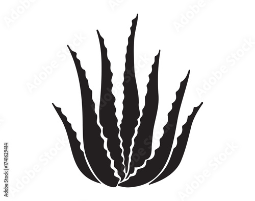 Aloe vera plant silhouette icon doodle hand drawn. Aloe vera logo drawing clipart symbol