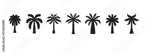 logo summer palm template set, tropical hand drawn illustrations palms, tropical concept, collection palm trees boho elements.