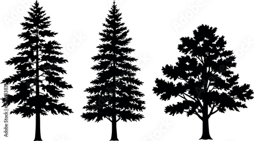 Silhouette of evergreen and deciduous trees isolated on white background for nature, forest, woodland, botanical, and seasonal vector design