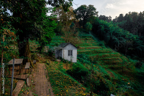 A cozy house in the botanical garden of Batumi.