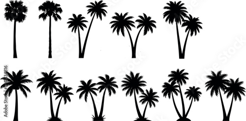 Palm tree silhouette collection with tropical shapes, exotic foliage, curved trunks, botanical diversity for nature, landscape, summer, and travel themes