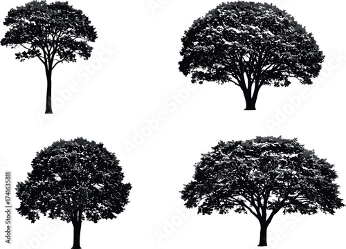 Set of four black tree silhouettes with diverse canopy shapes isolated on white background for nature, forest, and landscape design themes.