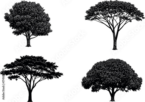 Set of four stylized tree vector illustrations with different foliage shapes, canopy structures, and seasonal color variations for landscape design