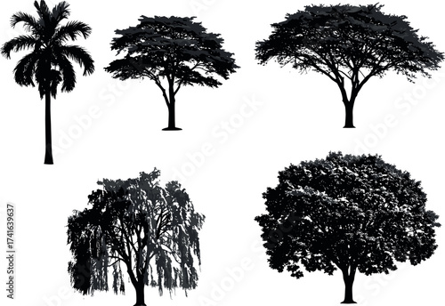 Silhouette collection of tropical, deciduous, and ornamental trees with diverse canopy shapes for landscape design, nature themes, and education.