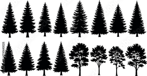 Silhouette set of coniferous and deciduous trees in vector style for forest, nature, landscape, botanical, and seasonal design themes