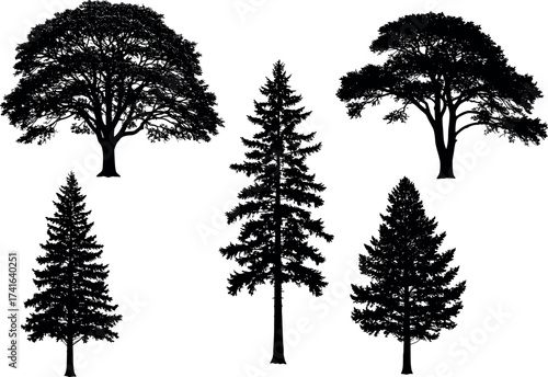 Silhouette set of deciduous and coniferous trees isolated on white background for nature, forest, botanical, and landscape design themes