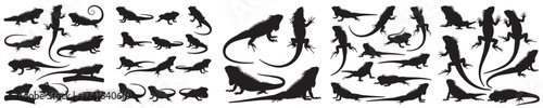 Set of vector silhouettes of iguana in various poses