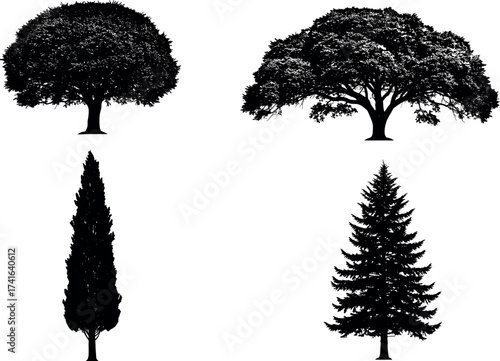 Silhouette set of diverse tree shapes including oak, maple, cypress, and fir for nature, forest, and landscape design themes