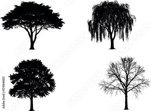 Silhouette tree collection with seasonal foliage, dead branches, and diverse canopy shapes for nature, ecology, landscape, and botanical design themes.