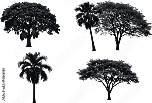 Tropical and Subtropical Tree Collection with Palm, Jackfruit, and Dense Foliage for Botanical, Landscape, and Educational Vector Illustration Use