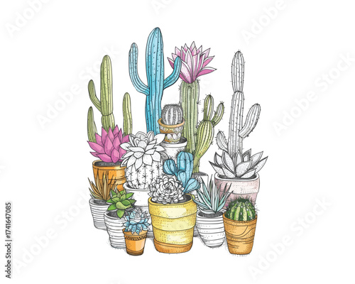 Diverse Collection of Hand-Drawn Cacti and Succulents in Pots
